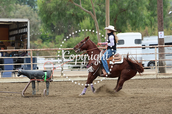 AVMM0254