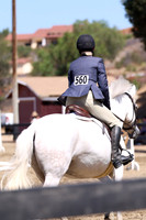 AVMP1417