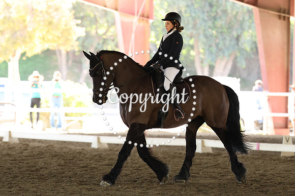 AVMP3897
