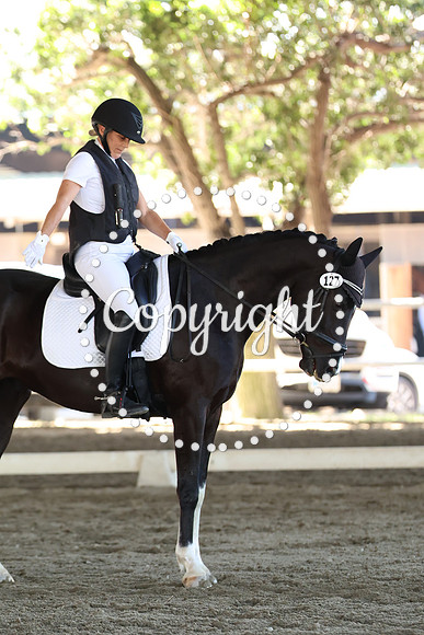 AVMP4899