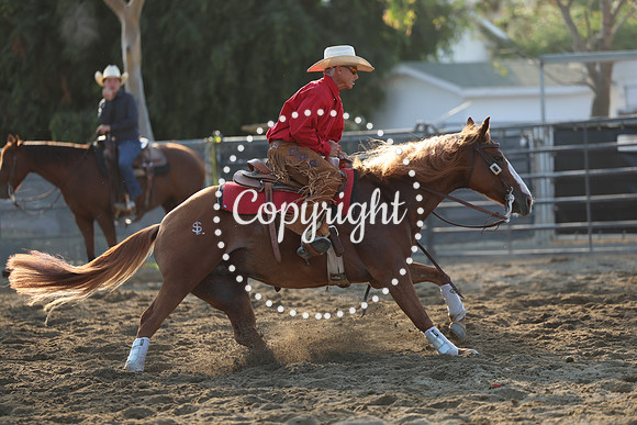 AVMM4000