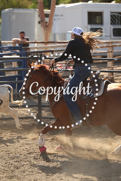 IMG_8028