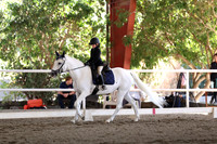 AVMP1246