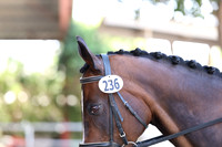 236 LADY GODIVA