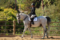 10 Future Intermediate Equitation on the Flat