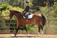 12 Future Novice Equitation on the Flat