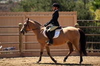 13 Future Beginner Equitation on the Flat W:T:C