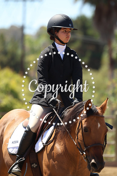 IMG_9903