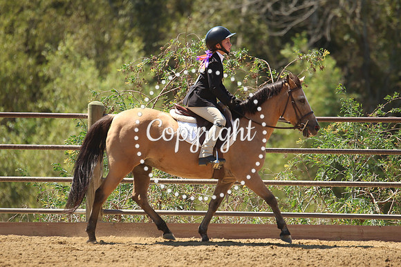 IMG_9946