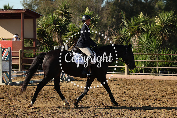 IMG_8527