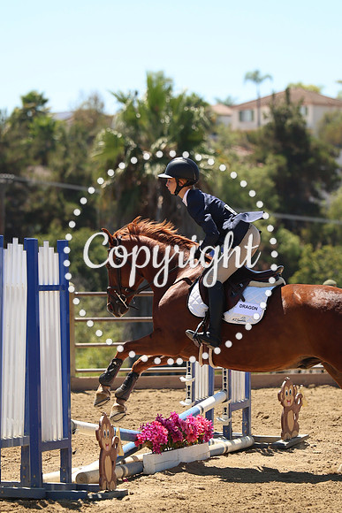 IMG_1104