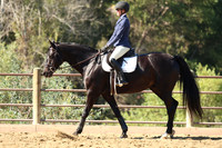 4 Varsity Intermediate Equitation on the Flat