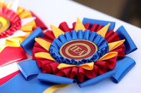 MZ Equestrian IEA Show 8/31