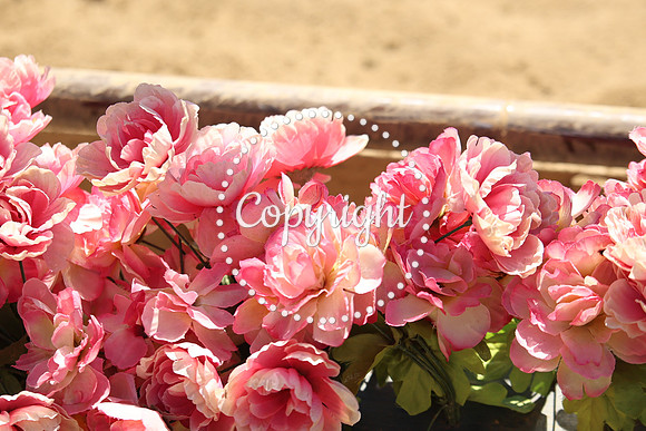 IMG_1602