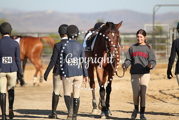 IMG_8431