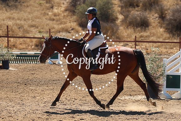 IMG_8316