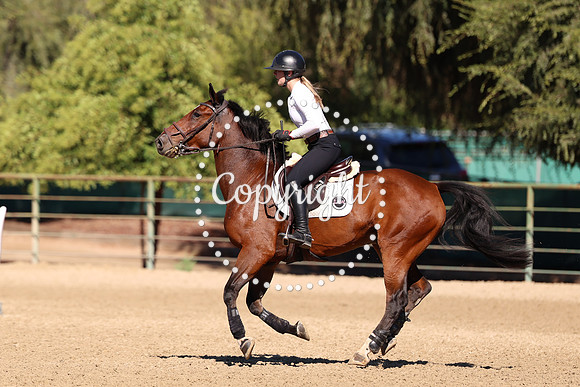 AVMP1222