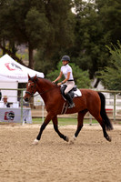 AVMP1179