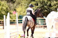 AVMP2849