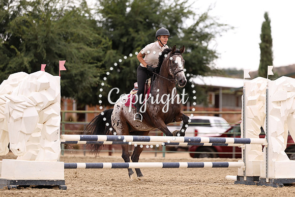 AVMP2995