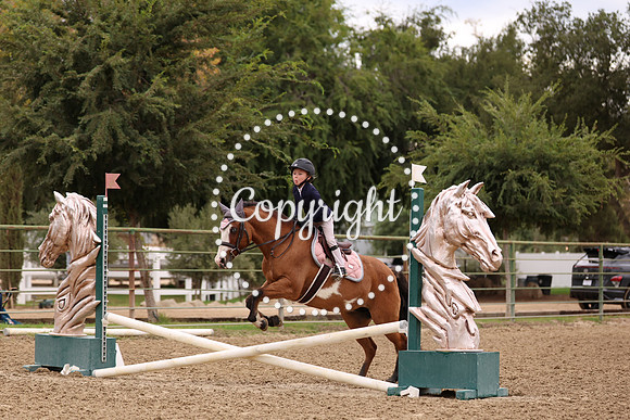 AVMP1280 copy