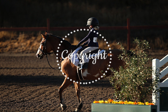IMG_6802