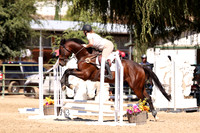 AVMP1773