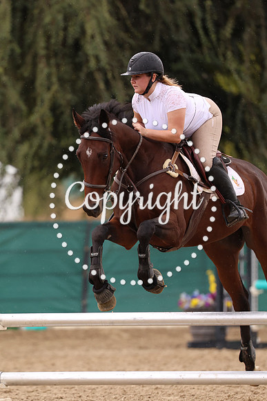 AVMP1835