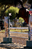 AVMP0020