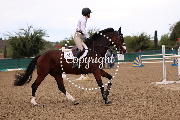 AVMP0139