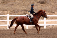 AVMP1697