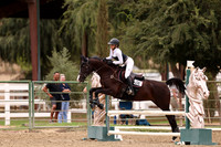 AVMP2227