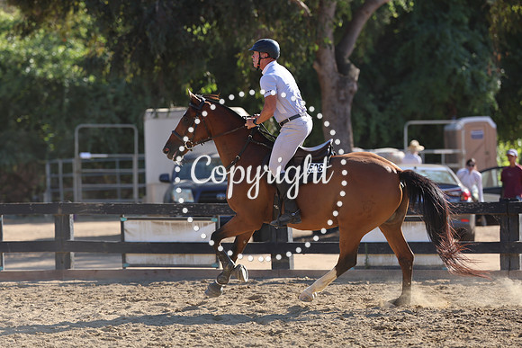 AVMM8781