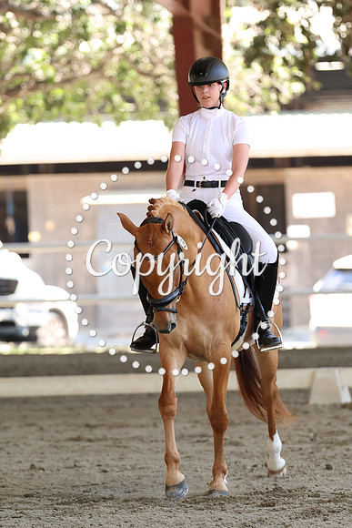 AVMP9197