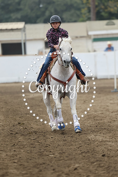 AVMM0852