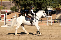 AVMM0363
