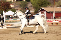 AVMM0376