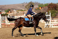 AVMM0196