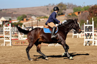 AVMM0195