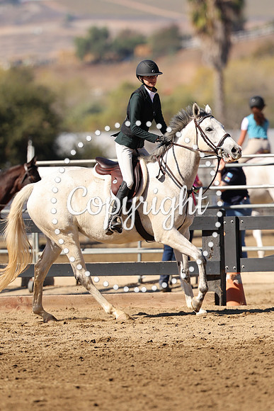 AVMM2201