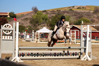 AVMM0341