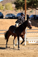 AVMM2010