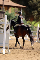 AVMM2012