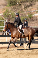AVMM2499