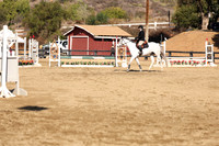 AVMM0447