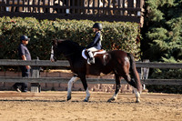 AVMM1485