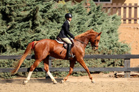 AVMM1293