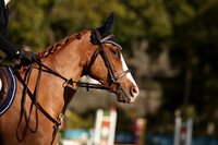 DI5_0941
