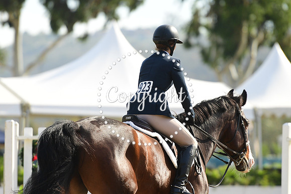 BBB_4604