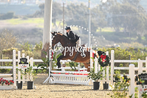 SLP_8826